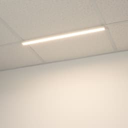 18114608F6034342AB20249EFB5543A7.jpg