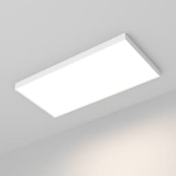 164F68B3145EAE42B8D847F245600B62.jpg