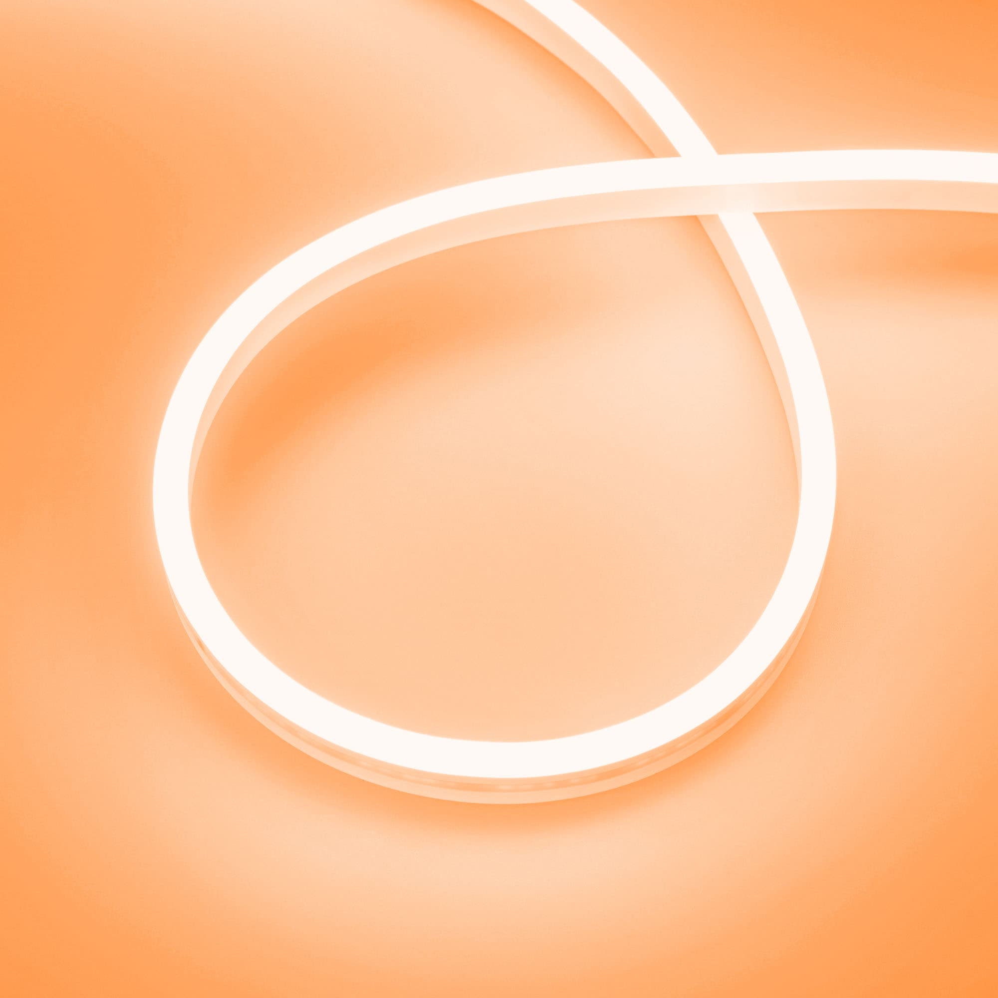 918E7F0496CFCB4991619F60C0F59287.jpg