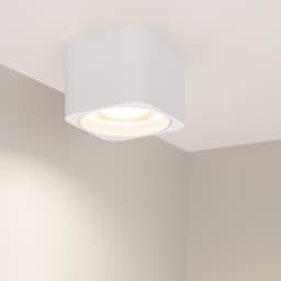 29F24E5866A5A44CB69F0EB314B5CC2A.jpg