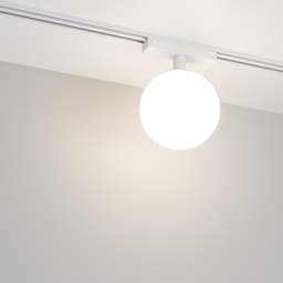 B88CA96EE568EF4BB693613D82753BED.jpg