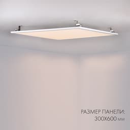 550B276B2CA1FD4E81729140E83FBF33.jpg