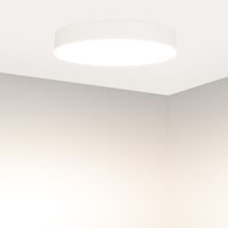 F89096C69B697345B4E0535FFE60D5B8.jpg