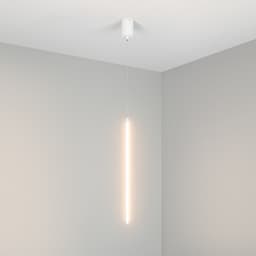 64C72684AE4C294795A490A1A877B771.jpg
