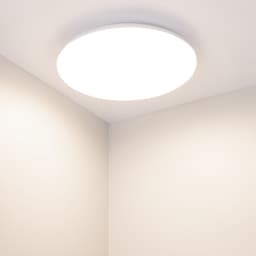 BB2597CF0BCD504CA4F78C6A1F32FCB2.jpg
