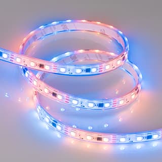Светодиодная лента герметичная SPI-PFS-B60-12mm 12V RGB-PX3 (14.4W/m, IP68, 5060, 5m) (Arlight, бегу