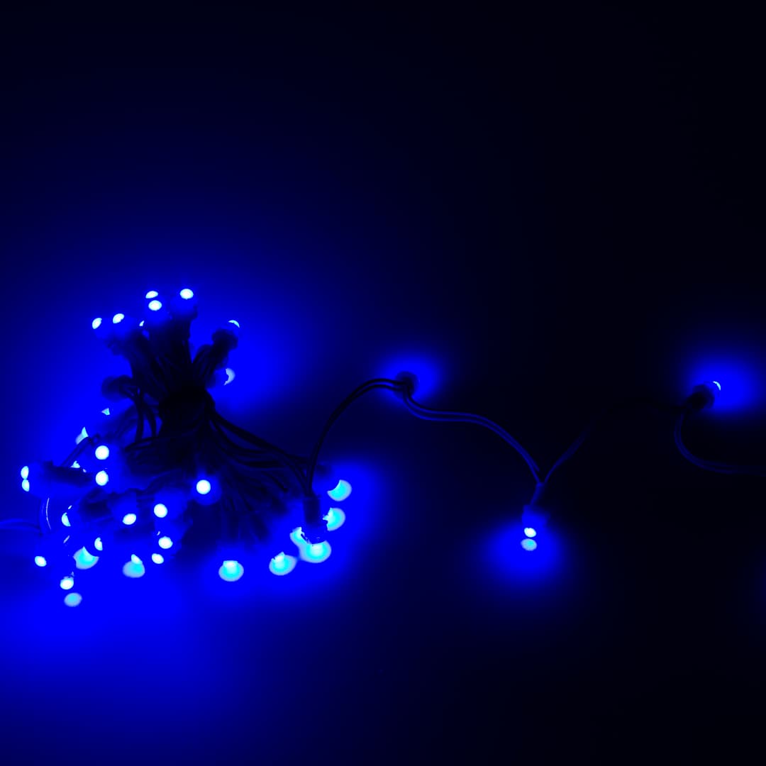 78842.jpg