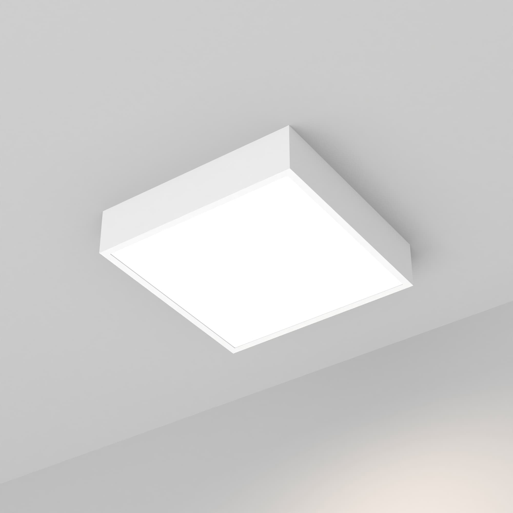 B5ABD26833FFFC459D1FFC744AA5E79E.jpg