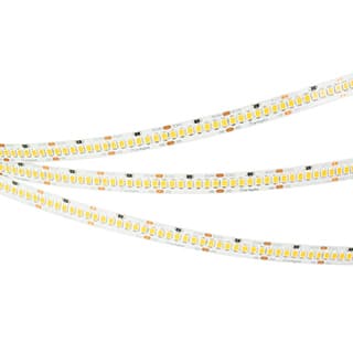Светодиодная лента RT-A252-10mm 24V Day4000 (11 W/m, IP20, 2835, 5m) (Arlight, Открытый)